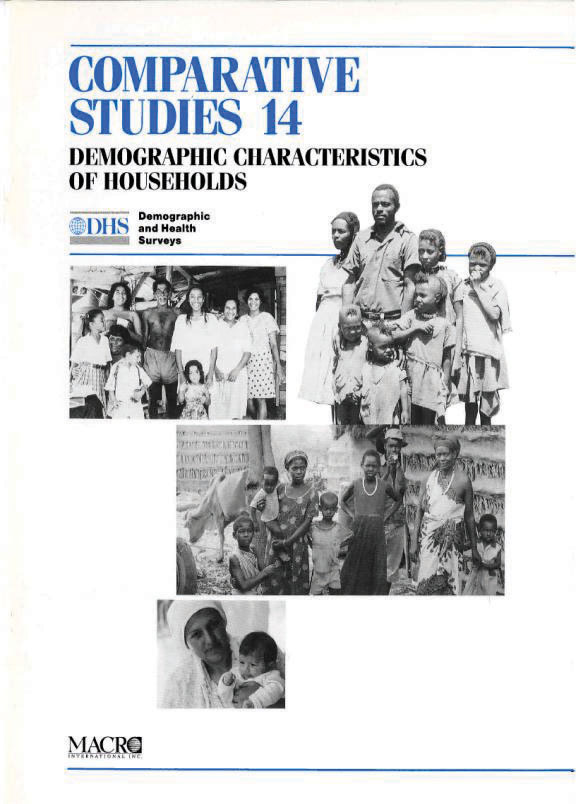 Cover of Demographic Characteristics of Households (English)