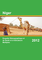 2012 NIger DHS