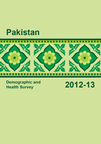 Cover of Pakistan DHS, 2012-13 - Final Report (English)