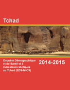 Cover of Chad DHS, 2014-15 - Final Report (French)