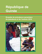 Cover of Guinea MICS, 2016 - Supplement to Guinea (MICS) (French)