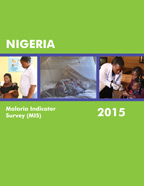 Cover of Nigeria MIS, 2015 - MIS Final Report (English)