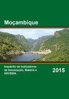 Cover of Mozambique AIS, 2015 - Final Report (English, Portuguese)