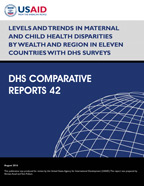 Cover of Levels and Trends in Maternal and Child Health Disparities by Wealth and Region in Eleven Countries with DHS Surveys (English)