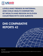 Cover of Levels and Trends in Maternal and Child Health Disparities by Wealth and Region in Eleven Countries with DHS Surveys (English)