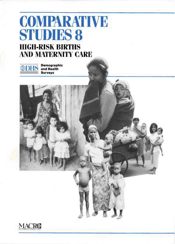 Cover of High-Risk Births and Maternity Care (English)