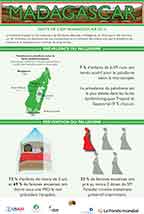 Cover of Madagascar 2016 MIS - Infographic (French)