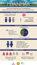 Cover of Myanmar 2015-16 DHS - Infographic (English)