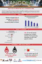 Cover of Angola DHS 2015-16 - Infographic (English)