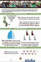 Cover of Malawi 2017 MIS - Infographic (English)