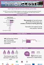 Cover of Timor-Leste 2016 DHS - Infographic (English)