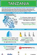 Cover of Tanzania 2017 MIS - Infographic (English)