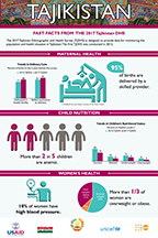 Cover of Tajikistan 2017 DHS - Infographic (English)