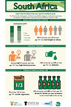 Cover of South Africa 2016 DHS - Infographic (English)