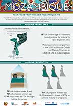Cover of Mozambique 2018 MIS - Infographic (English)