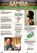 Cover of Zambia 2018 DHS - Wall Chart (English)