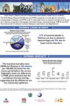 Cover of Pakistan Maternal Mortality Survey 2019 - Infographic (English)