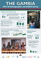 Cover of The Gambia DHS 2019-20 - Wall Chart (English)