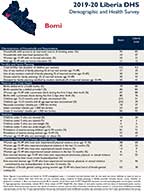 Cover of Liberia 2019-20 DHS County Profiles (English) Cover of Liberia 2019-20 DHS County Profiles (English)