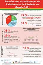 Cover of Guinea MIS 2021 - Infographic (French)