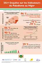 Cover of Niger MIS 2021 - Infographic (French)