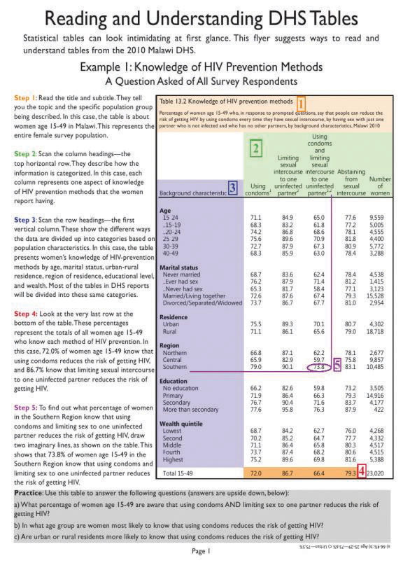 Cover of Reading DHS Tables (Malawi 2010) (English)