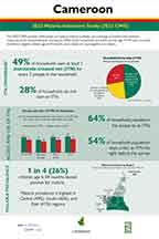 Cover of Cameroon MIS 2022 - Infographic (English)