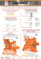 Cover of Angola DHS 2023-24 - Infographic (Portuguese)