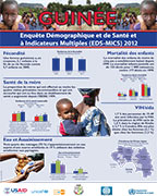 Cover of Guinea DHS 2012 - National Wall Chart (French)