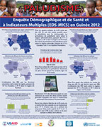 Cover of Guinea DHS 2012 - Malaria Wall Chart (French)