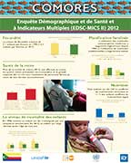 Cover of Comoros 2012 DHS - Wall Chart (French)