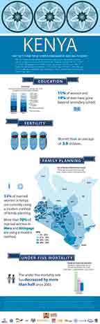 Cover of Kenya DHS 2014 - Infographic (English)