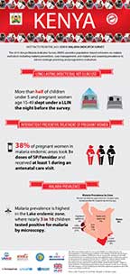 Cover of Kenya MIS 2015 - Infographic (English)