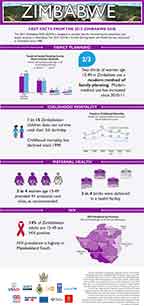 Cover of Zimbabwe 2015 DHS - Infographic (English)