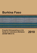 Cover of Burkina Faso DHS, 2010 - Final Report (French)
