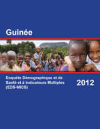 Cover of Guinea DHS, 2012 - Final Report (French)