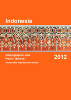 Cover of Indonesia Special, 2012 - Adolescent Reproductive Health Final Report (English)