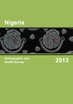 Cover of Nigeria DHS, 2013 - Final Report (English)