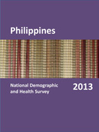 Cover of Philippines DHS, 2013 - Final Report (English)