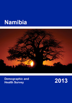 Cover of Namibia DHS, 2013 - Final Report (English)