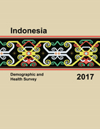 Cover of Indonesia DHS, 2017 - Final Report (English)