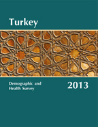 Cover of Turkey DHS, 2013 - Final Report (English)