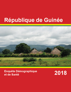 Cover of Guinea DHS, 2018 - Final Report (French)