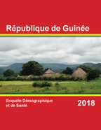Cover of Guinea DHS, 2018 - Final Report (French)