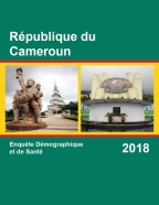 Cover of Cameroon DHS, 2018 - Final Report (French)