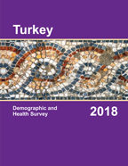 Cover of Turkey DHS, 2018 - Final Report (English)