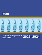 Final Report (French) - FR394