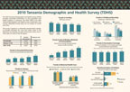 Cover of Tanzania DHS 2010 Fact Sheet (English)