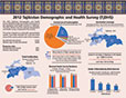 Cover of Tajikistan DHS 2012 Fact Sheet (Russian) (English)