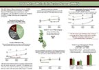 Cover of Malawi MIS 2017 Fact Sheet (English)